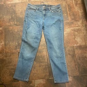 J Jill boyfriend stretchy straight leg ankle jeans